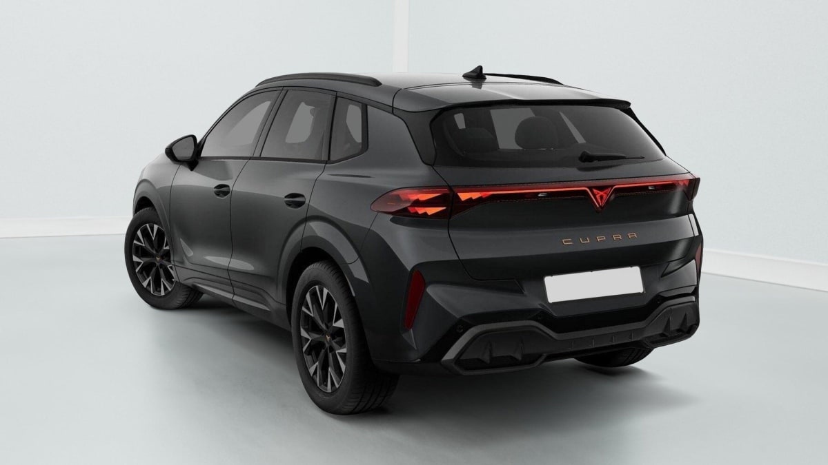360637_p2 - CUPRA - TERRAMAR - 2025 - photo 3