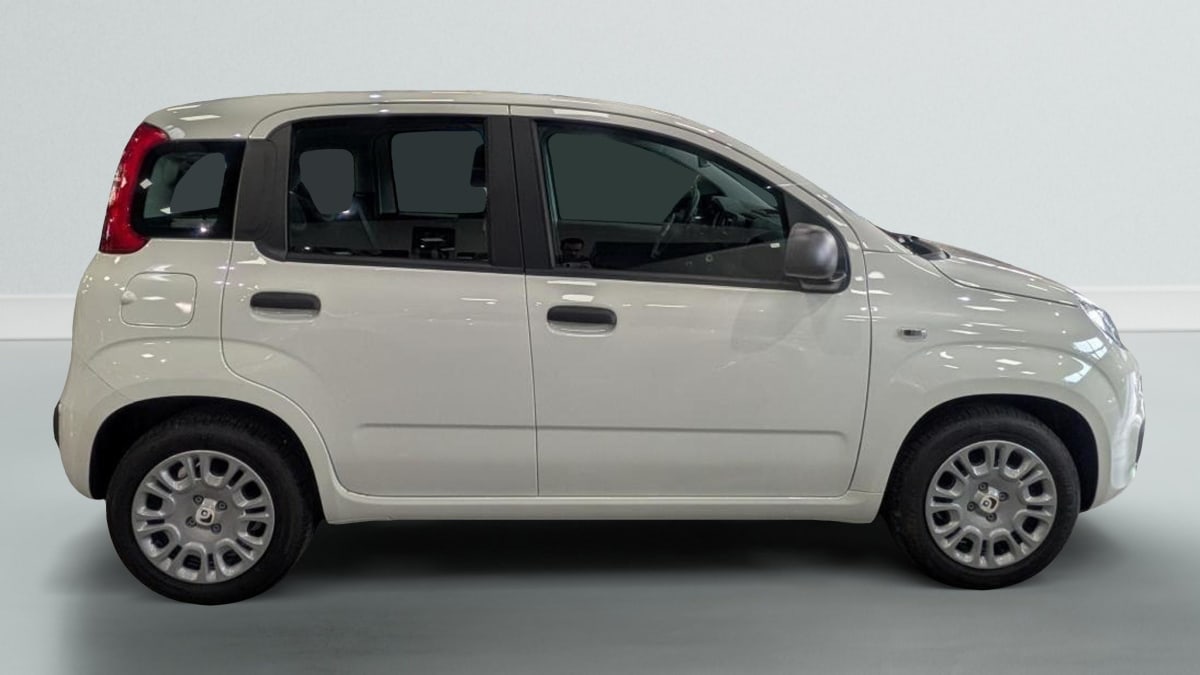 362551_p2 - FIAT - PANDA - 2025 - photo 7