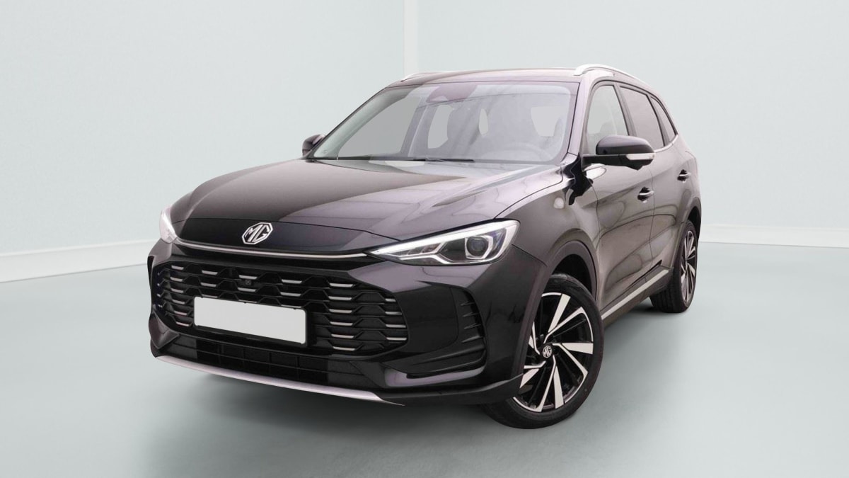 369317_p2 - MG - ZS - 2025 - photo 1