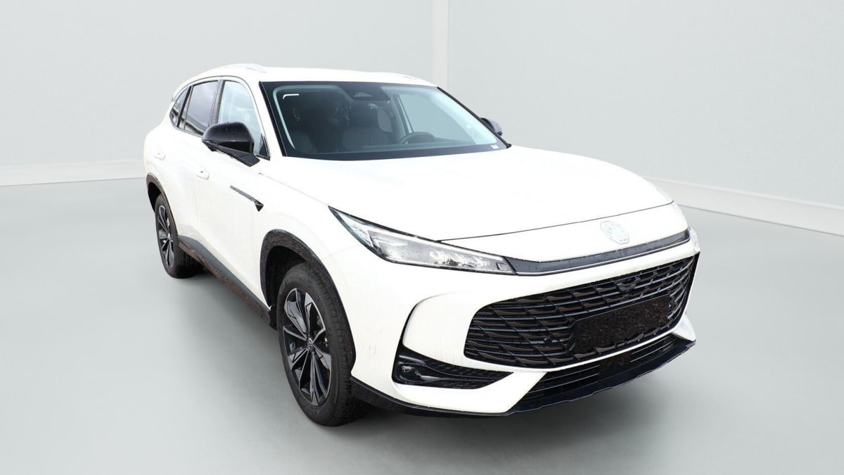 379453_p2 - MG - EHS - 2026 - photo 1