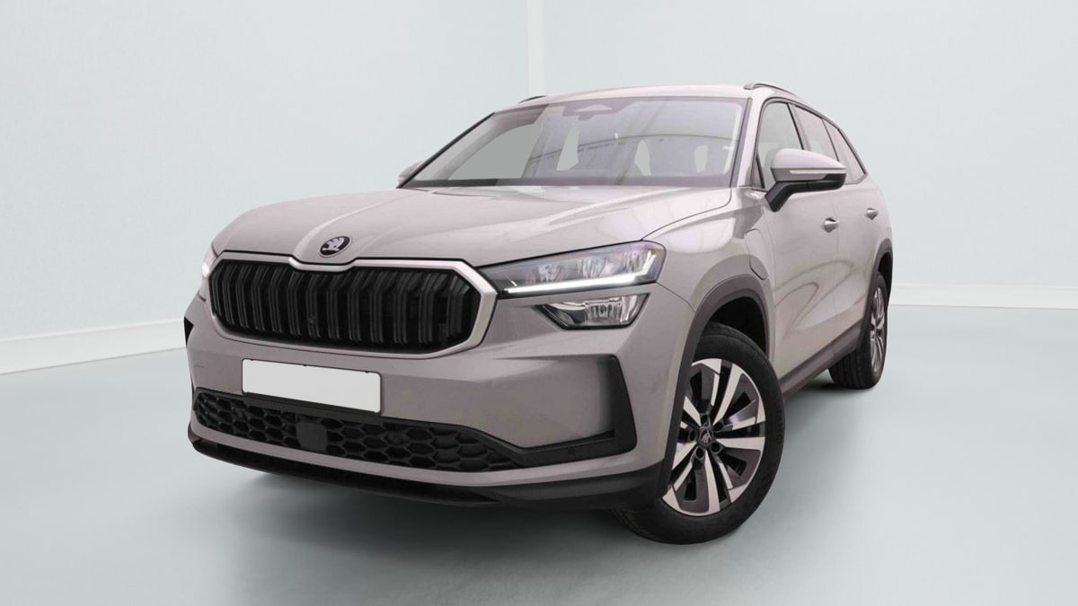 370978_p2 - SKODA - KODIAQ - 2026 - photo 1